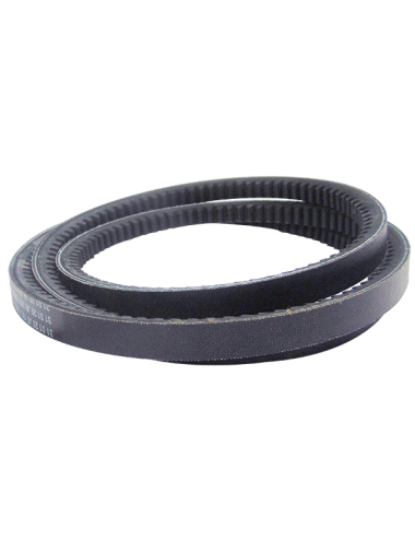 CORREA DEL FILTRO ROTATIVO PARA COSECHADORAS TC5070,TC57