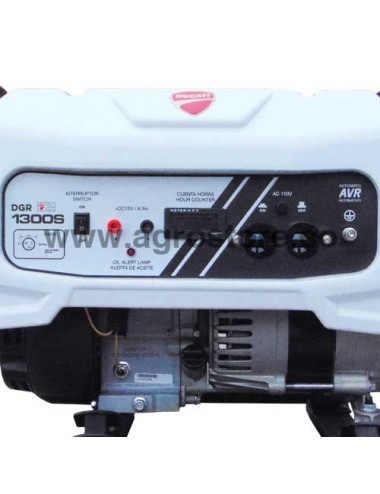 PLANTA ELÉCTRICA DUCATI 900W GASOLINA MONOFÁSICA PLANTA ELÉCTRICA DUCATI 900W GASOLINA MONOFÁSICA
