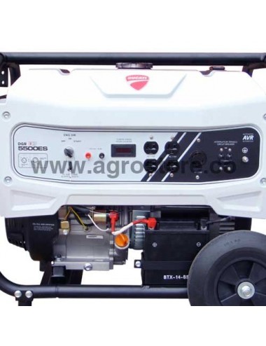 PLANTA ELÉCTRICA DUCATI 5500W MONOFÁSICA A GASOLINA PLANTA ELÉCTRICA DUCATI 5500W MONOFÁSICA A GASOLINA