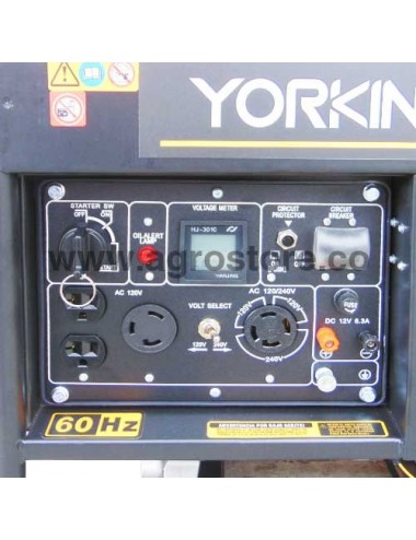PLANTA ELÉCTRICA A DIESEL DE 6.5 kVA BIFÁSICA MARCA YORKING PLANTA ELÉCTRICA A DIESEL DE 6.5 kVA BIFÁSICA MARCA YORKING
