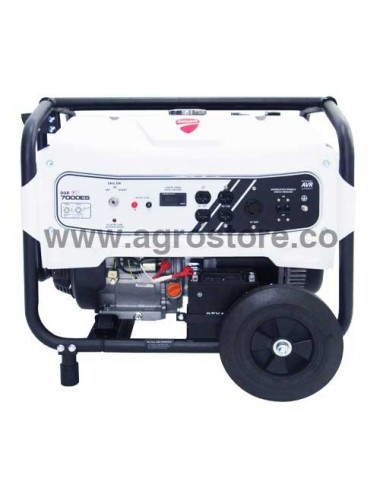 PLANTA ELÉCTRICA DUCATI 6500W GASOLINA MONOFÁSICA PLANTA ELÉCTRICA DUCATI 6500W GASOLINA MONOFÁSICA