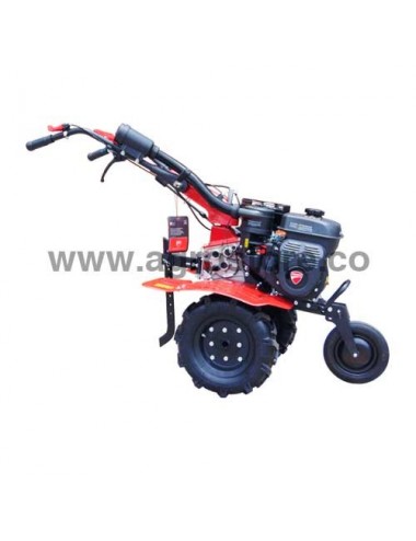 MOTOAZADA DE 7 HP  A GASOLINA DUCATI - DTL7000