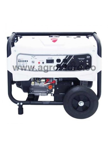 Planta eléctrica gasolina 7,5 kw marca Ducati - Agrostore Planta eléctrica gasolina 7,5 kw marca Ducati - Agrostore