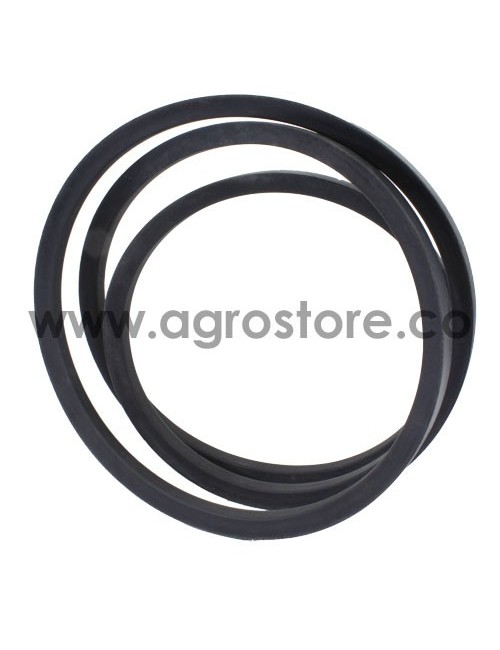 9579546 CORREA AGRICOLA CAJA CUCHILLAS TC57 - TC59