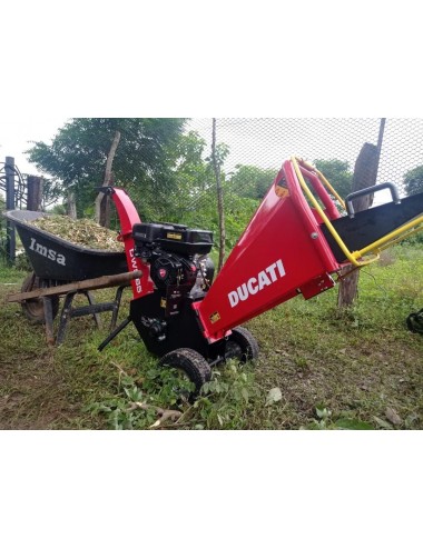 Chipeadora - Biotriturador Ducati de 15 Hp Chipeadora - Biotriturador Ducati de 15 Hp