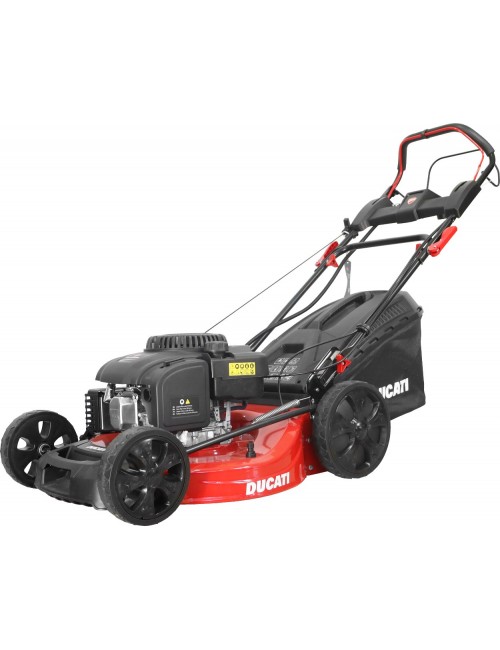 DLM5600E CORTACESPED DUCATI 5,9 ARRANQUE ELÉCTRICO