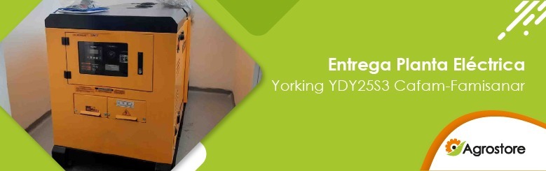 Entrega planta eléctrica ydy25s3 con transferencia automática temporizada cafam-famisanar