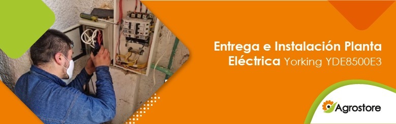 Entrega e instalación planta eléctrica yorking yde8500e3