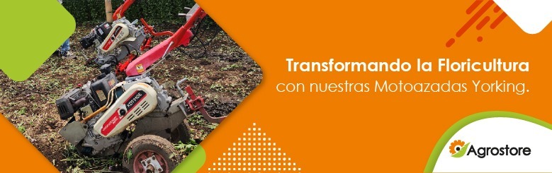 Transformando la floricultura con nuestros equipos: entrega de motoazadas yorking
