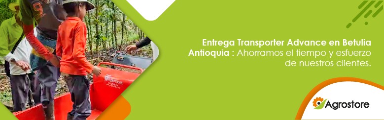 Entrega transporter advance en betulia antioquia: ahorramos el tiempo y esfuerzo de nuestros clientes